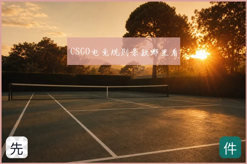 CSGO电竞规则条款哪里看